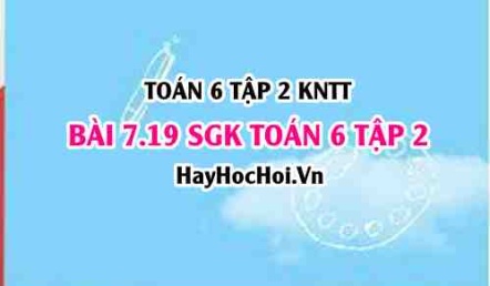 Bài 7.19 SGK Toán 6 tập 2 Kết nối tri thức